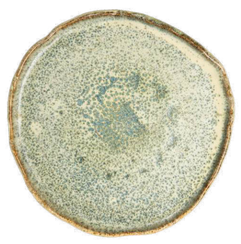 Green Organic Dinner Plate - 27 cm