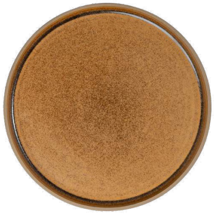Golden Brown Dinner Plate - 25.5 cm
